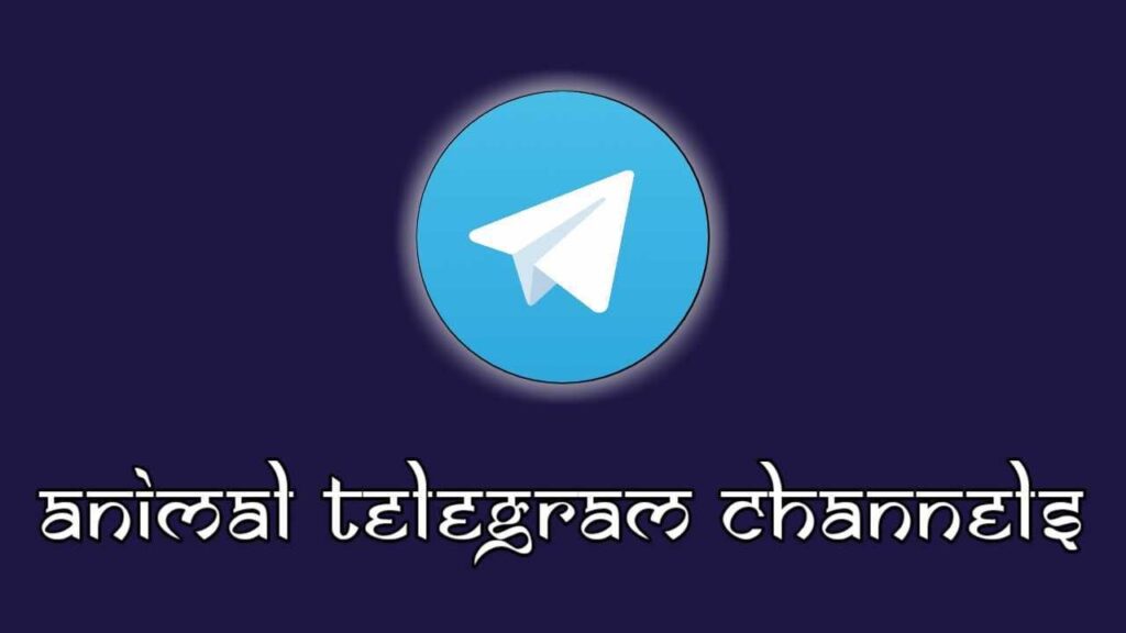 Top Collections of 20 Best Animal Telegram Channels List, Pet Animal Telegram Channels