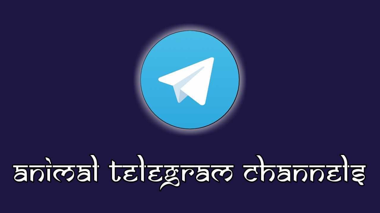 Top Collections of 20 Best Animal Telegram Channels List, Pet Animal Telegram Channels