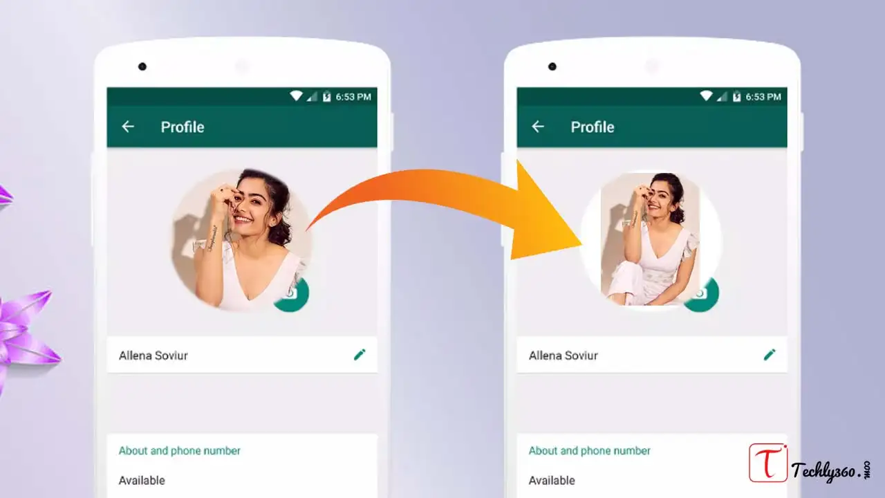 How to Set Full Image in WhatsApp DP?