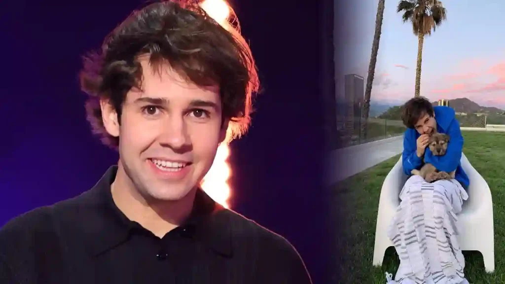 David Dobrik Net Worth, Age, Height and More